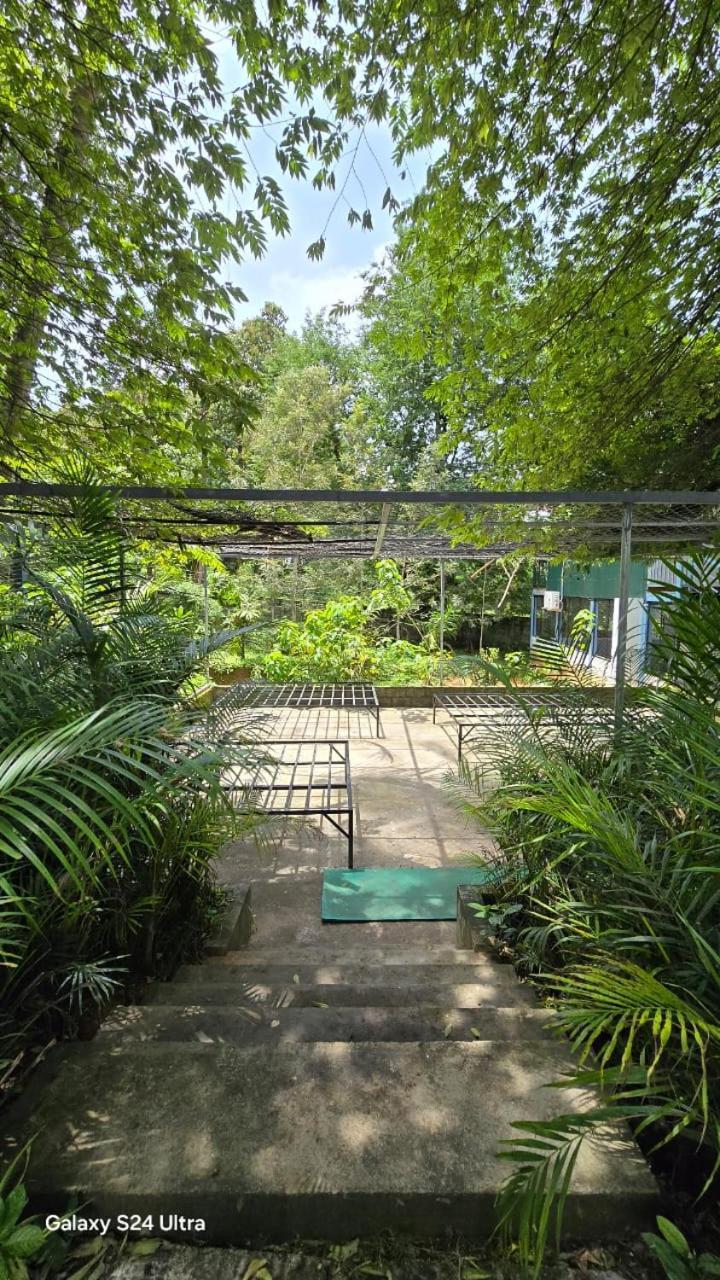 Green Aura Private Villas Sultan Bathery Eksteriør bilde